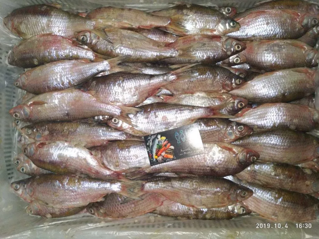 доставка каспийской рыбы на 10.... в Ростове-на-Дону 6