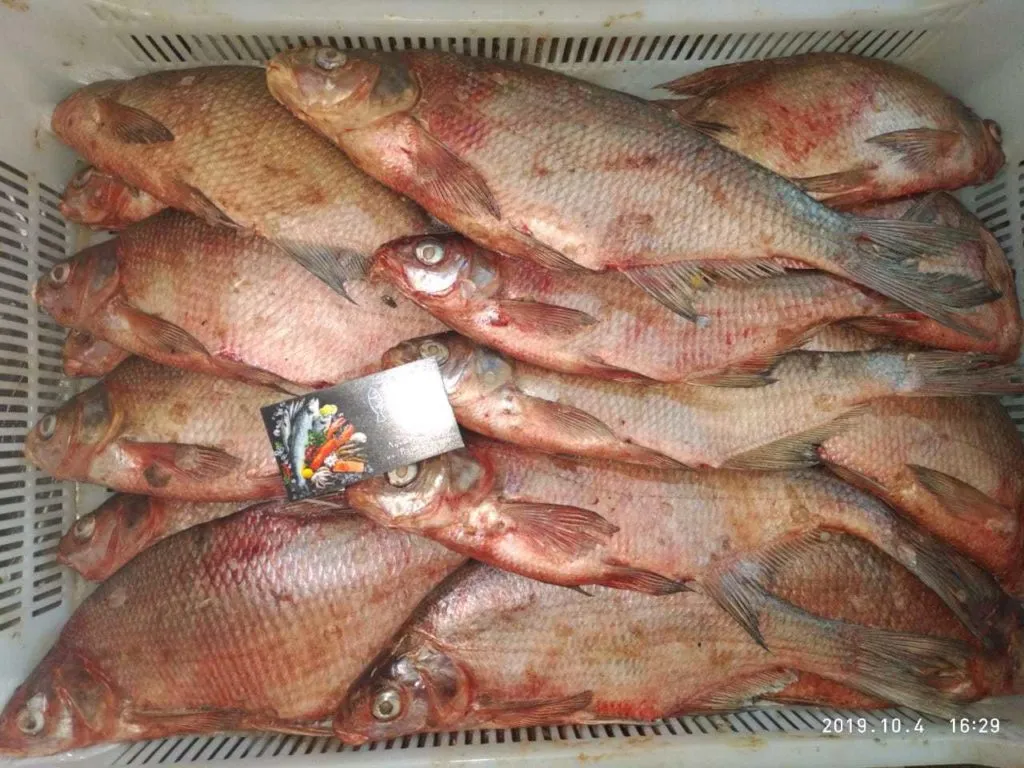 доставка каспийской рыбы на 10.... в Ростове-на-Дону 2