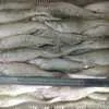 доставка каспийской рыбы на 10.... в Ростове-на-Дону 3