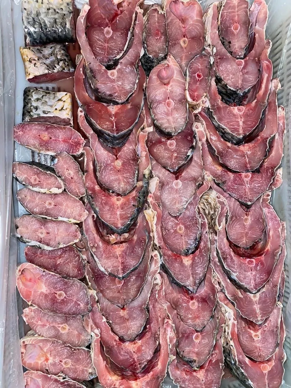 филе,тушка,стейки из сазана каспийского в Ростове-на-Дону