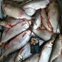 рыбец и шарики азовские с доставкой в Ростове-на-Дону