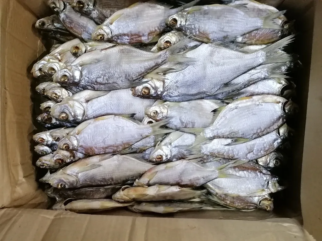 вяленая и копченая рыба от Производителя в Волгодонске