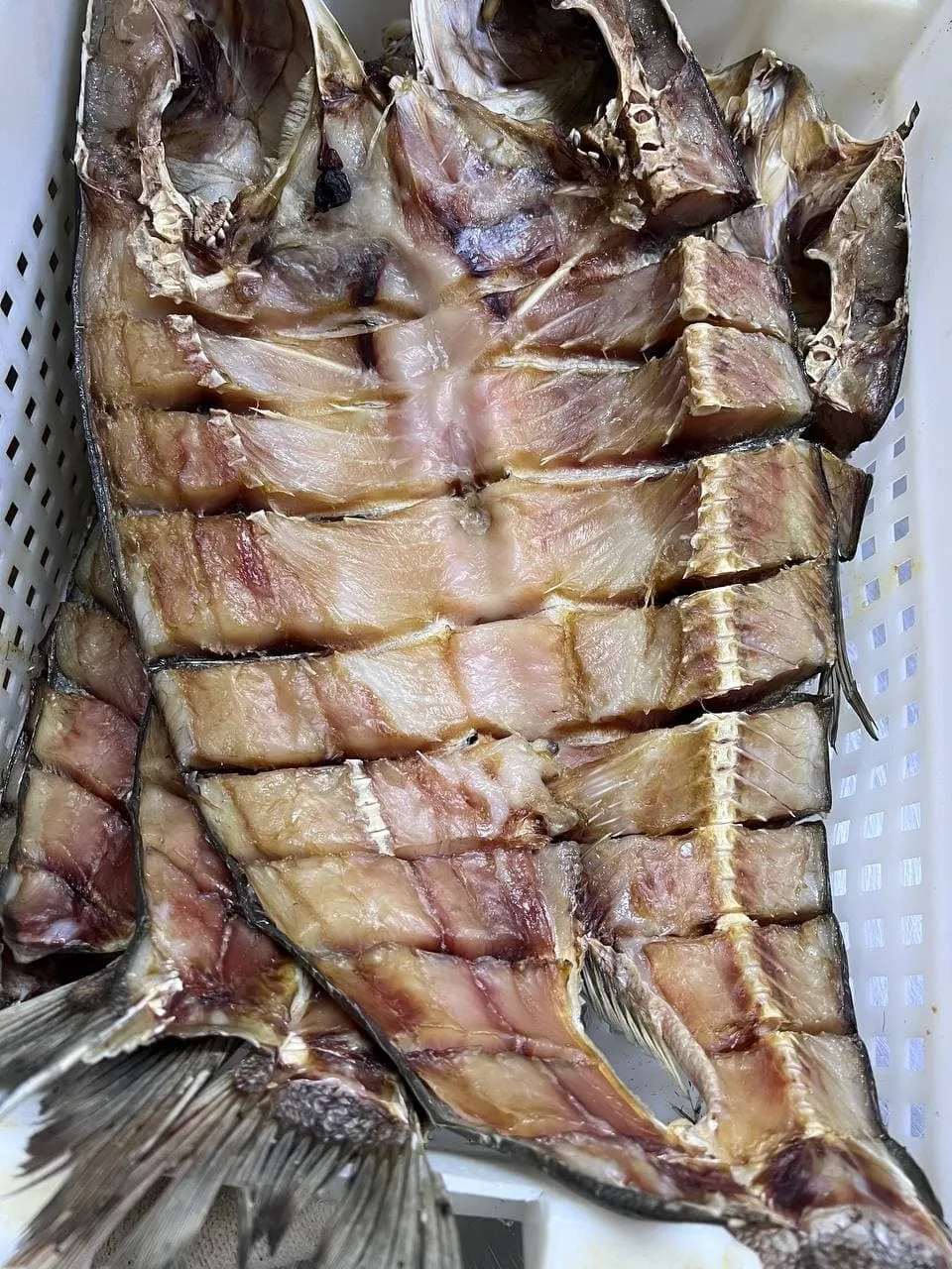 производим оптом рыбу вяленую в Азове 5