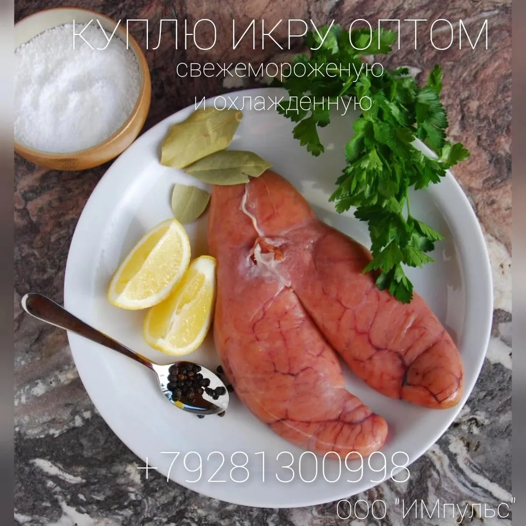 покупаю икру рыб частиковых пород оптом в Ростове-на-Дону