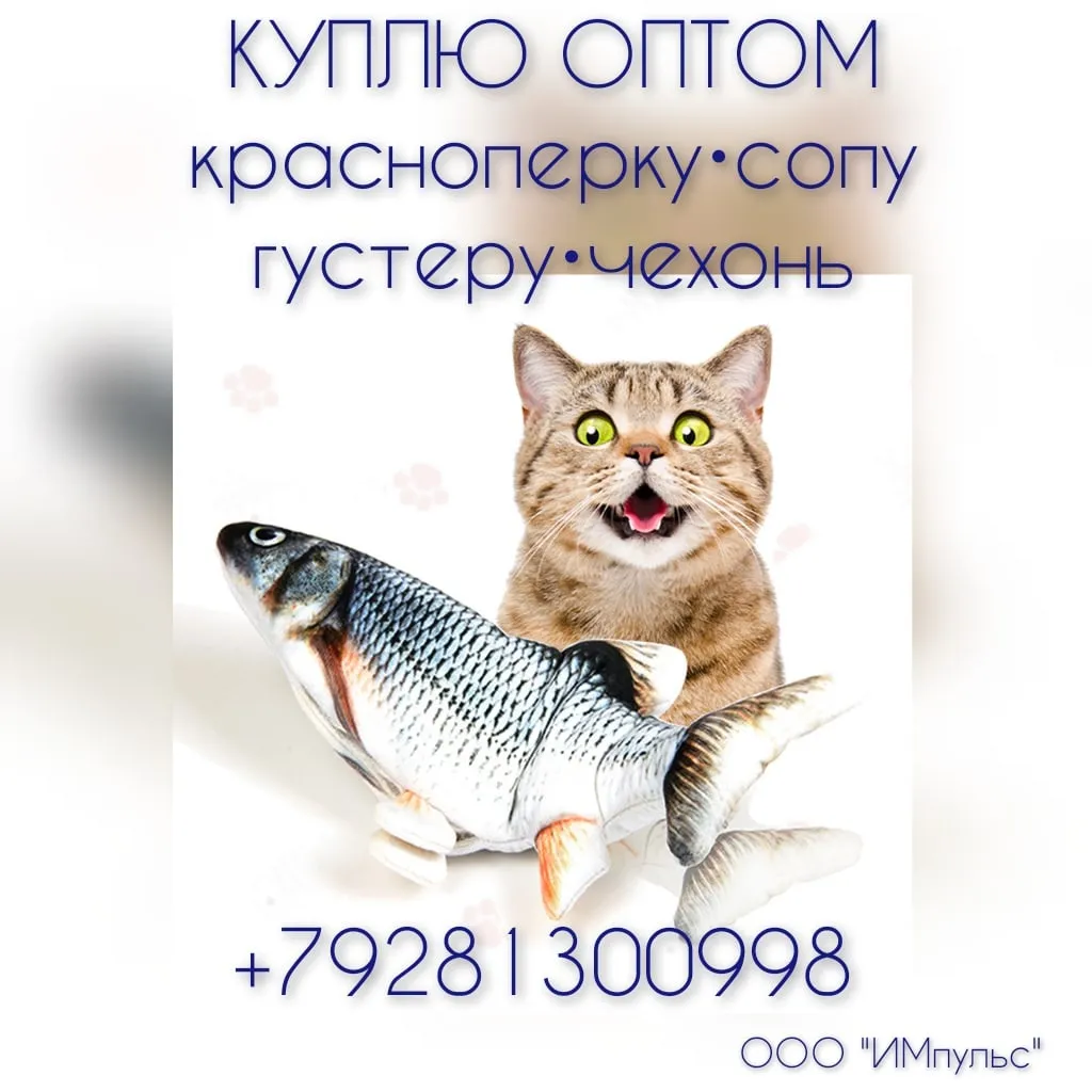 покупаю в ассортименте рыбы у добытчика в Ростове-на-Дону