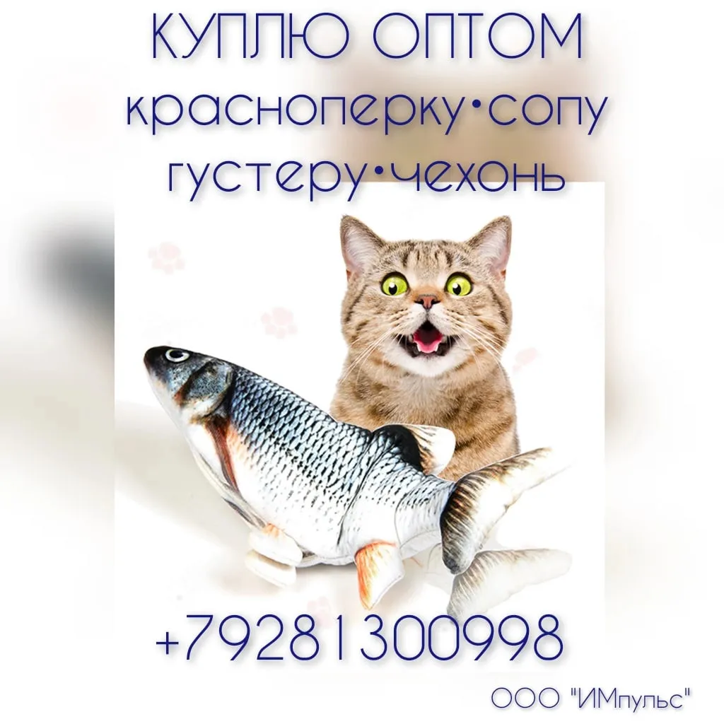 покупаю в ассортименте рыбу в Ростове-на-Дону