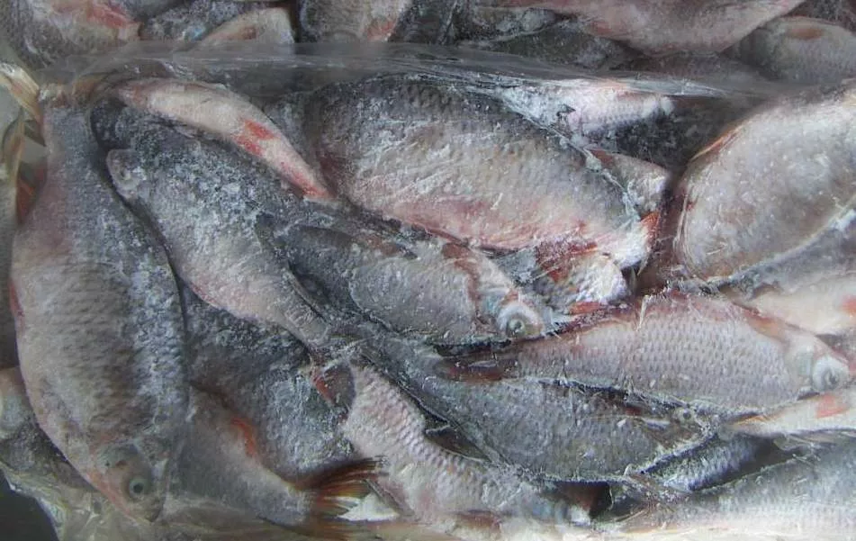 фотография продукта Рыба