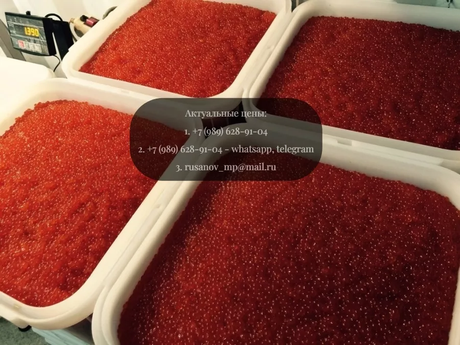 фотография продукта Икра горбуши оптом в таганроге