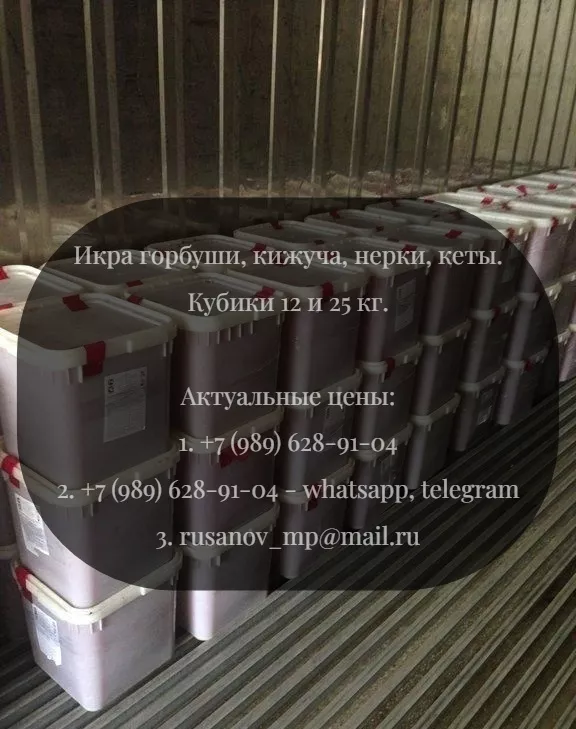 фотография продукта Красная икра форели оптом в таганроге 