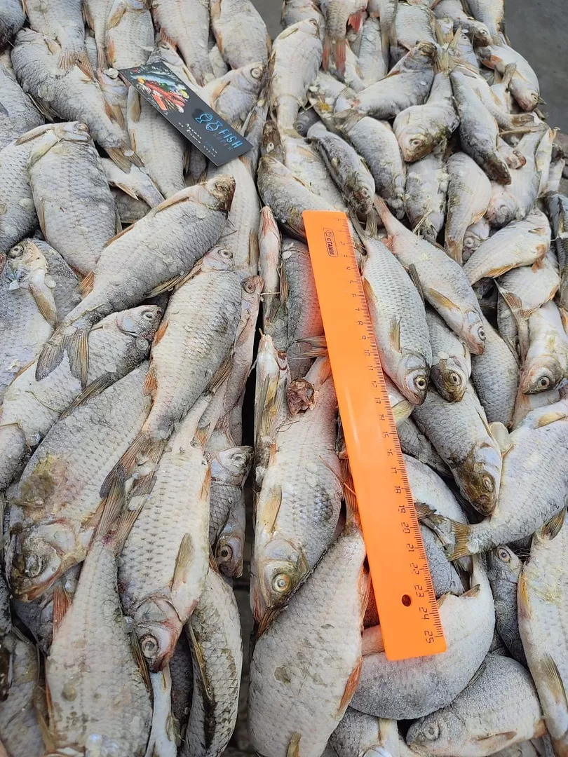 фотография продукта Каспийская рыба с доставкой по РФ