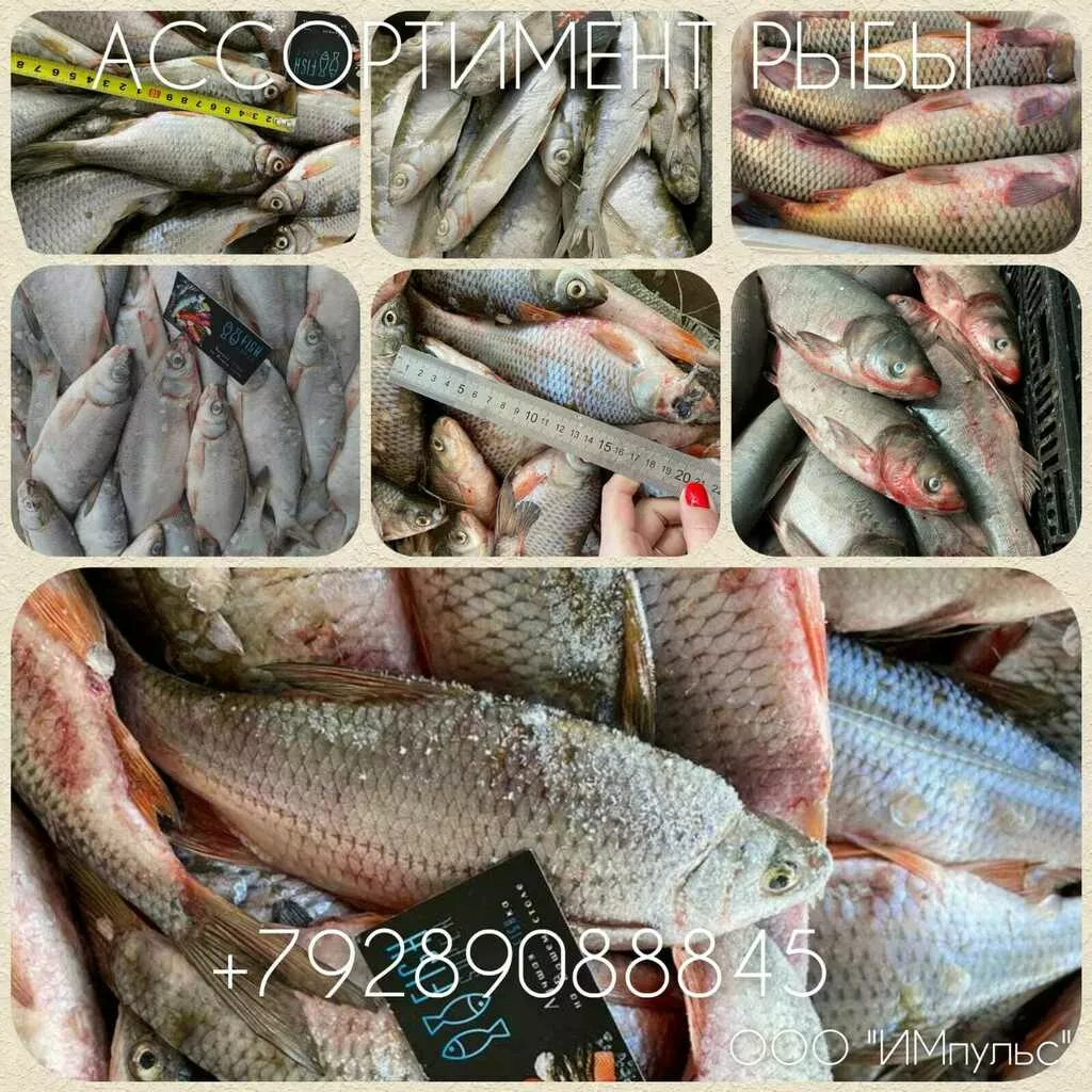 рыба в ассортименте с доставкой  в Ростове-на-Дону