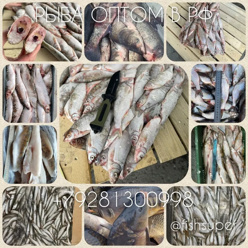 рыба в ассортименте в Ростове-на-Дону и Ростовской области