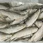 сибирская рыба под вялку: плотва, сырок в Ростове-на-Дону и Ростовской области