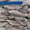 доставка каспийской рыбы в Ростове-на-Дону 4