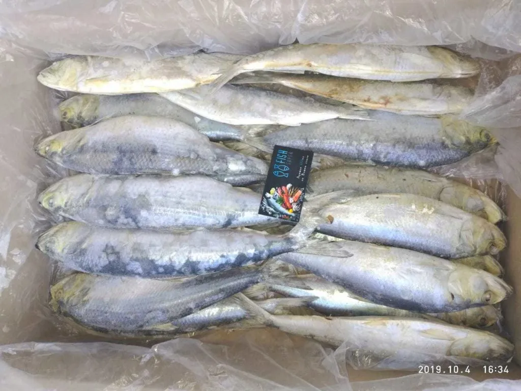 доставка каспийской рыбы в Ростове-на-Дону 3