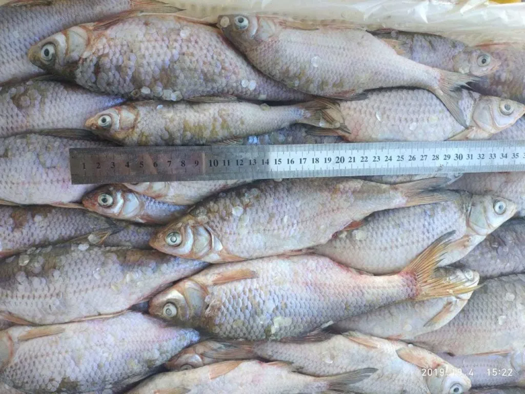 доставка каспийской рыбы в Ростове-на-Дону