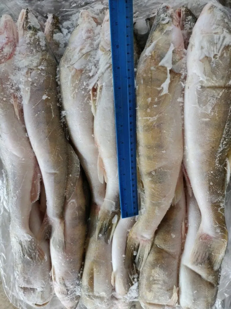 доставка каспийской рыбы в Ростове-на-Дону 2