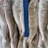 доставка каспийской рыбы в Ростове-на-Дону 2