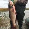 огромный ассортимент живой рыбы в Ростове-на-Дону 5