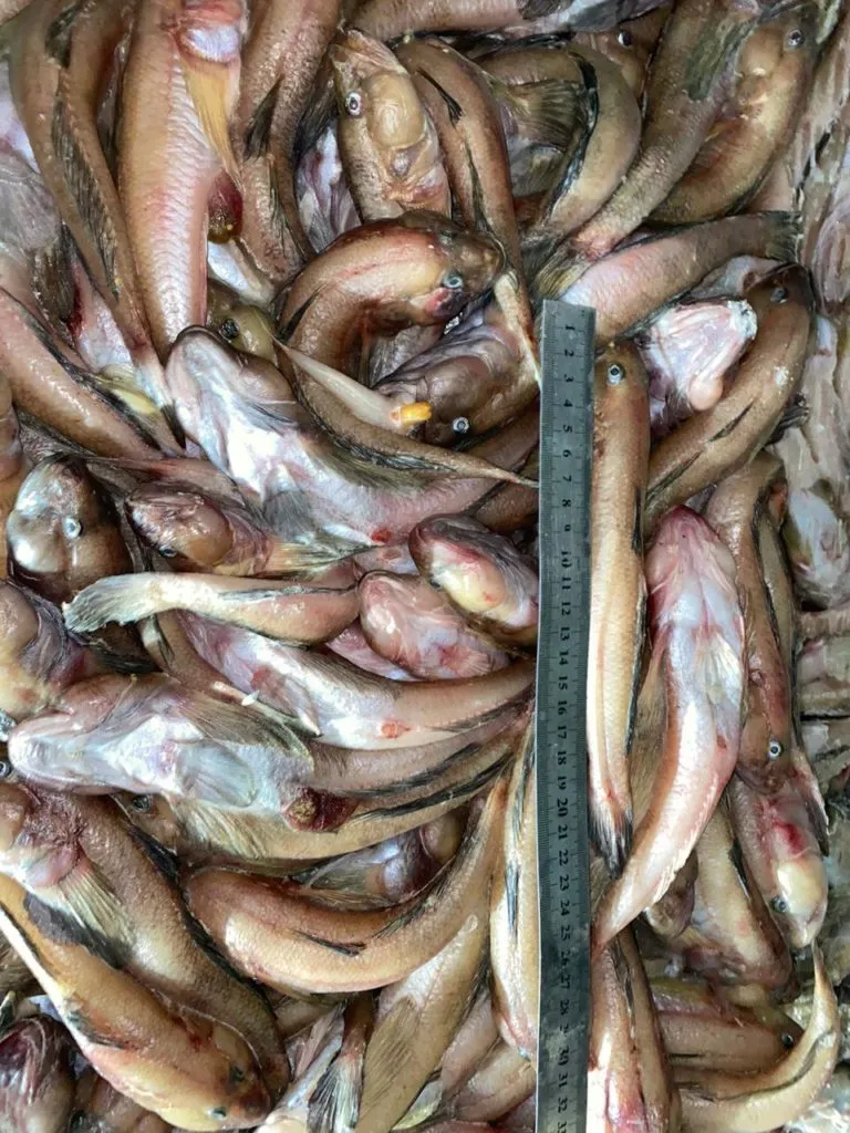 продукт