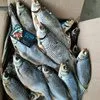 вяленая Рыбка с доставкой в Ростове-на-Дону
