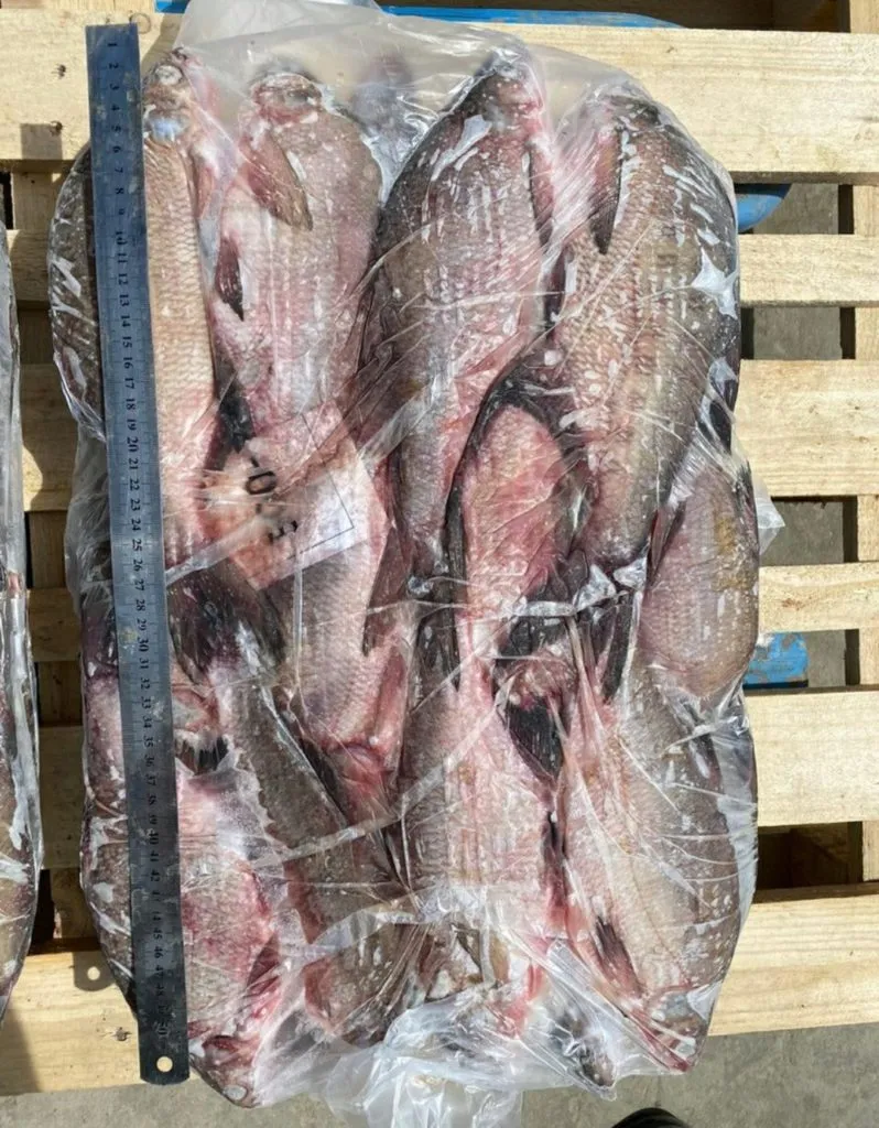 фотография продукта Свежемороженая Рыба С Доставкой