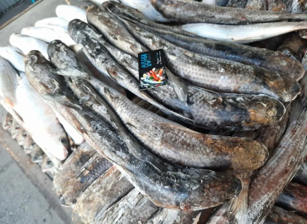 фотография продукта Рыба каспия с доставкой