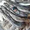 рыба каспия с доставкой в Ростове-на-Дону