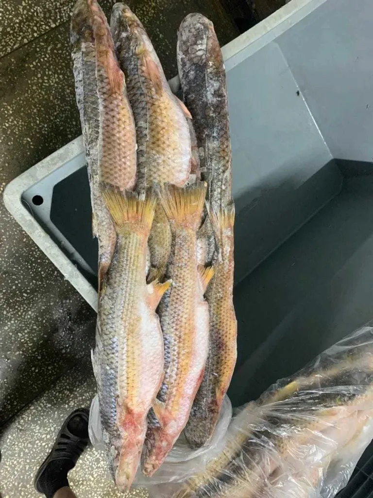 фотография продукта Азовская рыба в наличии