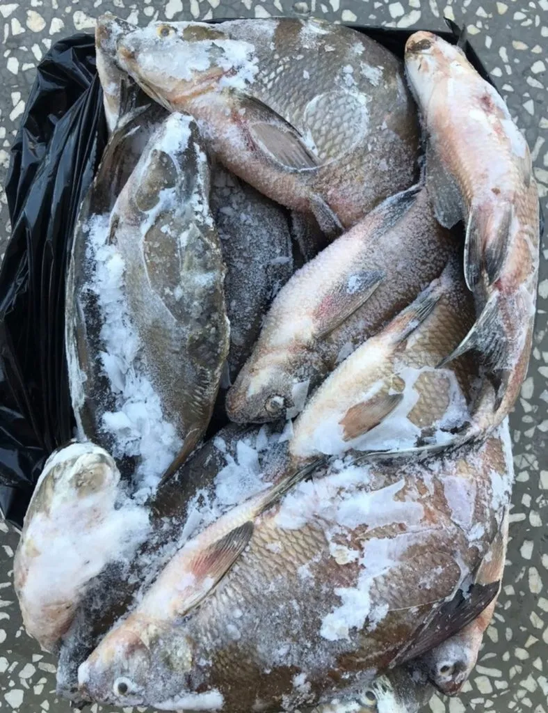 фотография продукта Иркутская рыба на вялку в Ростовской обл