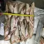 рыбец казахстанский в наличии 6 тонн в Ростове-на-Дону