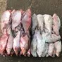 продажа рыбы в Ростове-на-Дону 2