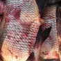 продажа рыбы в Ростове-на-Дону