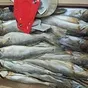 вяленая сушеная цимлянская рыба  в Волгодонске