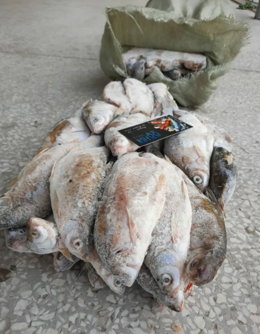 распродажа рыбы со склада в Ростове-на-Дону 2