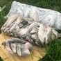 распродажа рыбы со склада в Ростове-на-Дону
