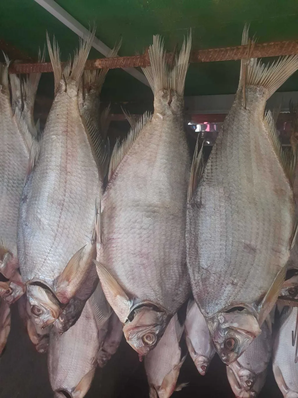 рыба вяленая от производителя  в Ростове-на-Дону и Ростовской области