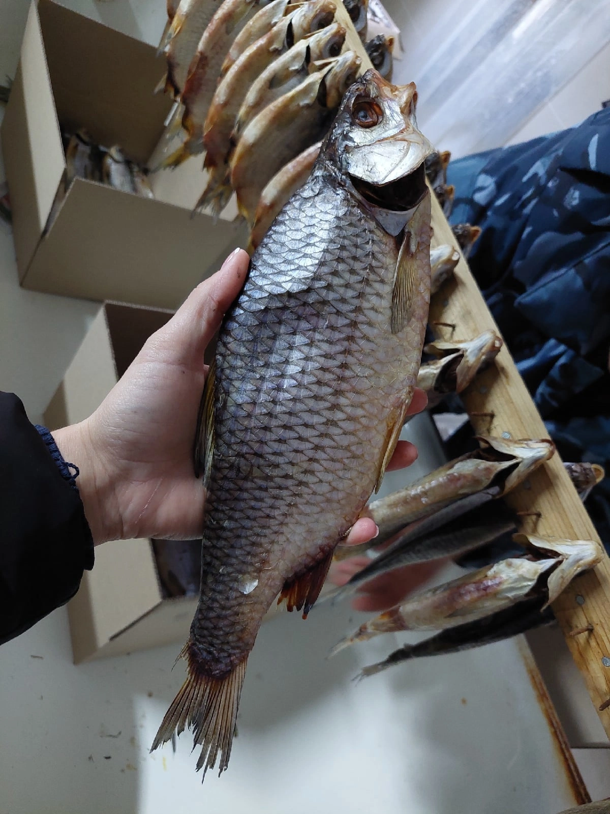 рыба вяленая уже в наличии в Ростове-на-Дону
