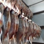 вяленая рыбка нашего производства в Ростове-на-Дону 3