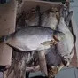некондиционная вяленая рыба на тушку в Ростове-на-Дону
