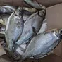 некондиционная вяленая рыба на тушку в Ростове-на-Дону 2