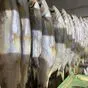 рыба вяленая и копченая от производителя в Ростове-на-Дону и Ростовской области 5