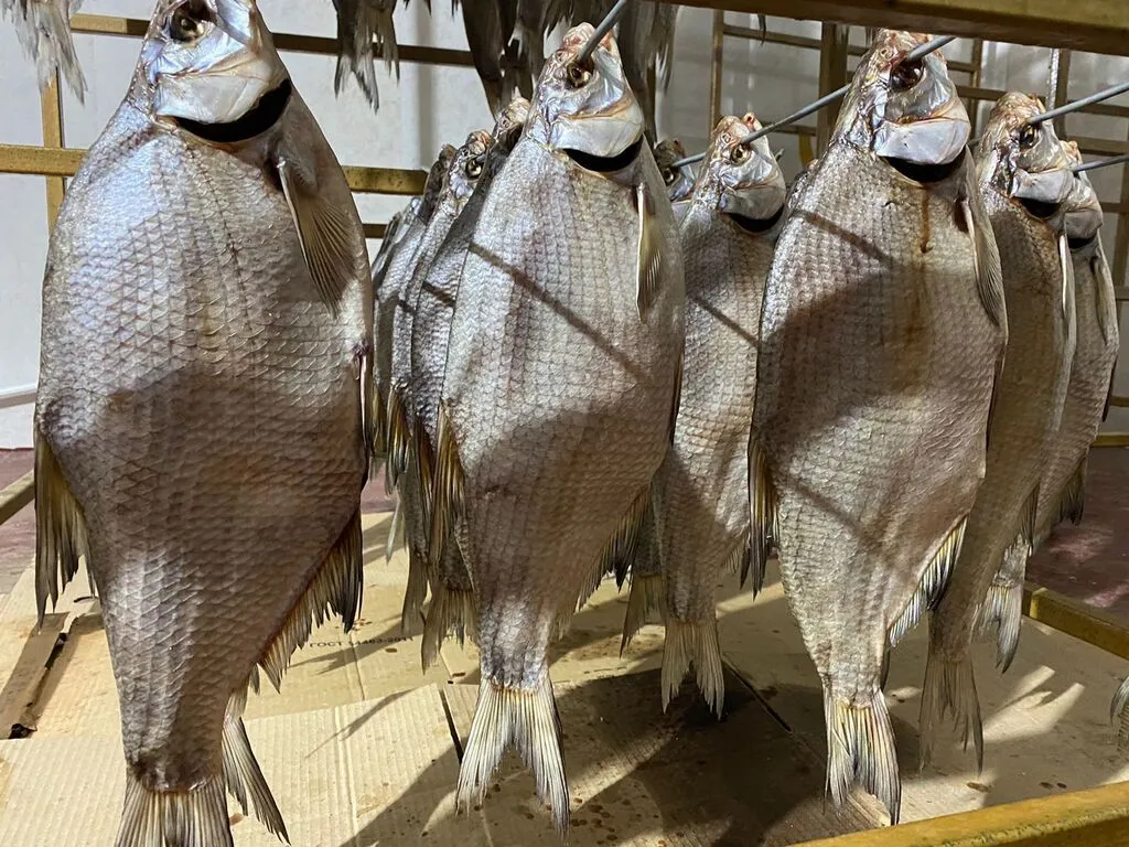рыба вяленая и копченая от производителя в Ростове-на-Дону и Ростовской области