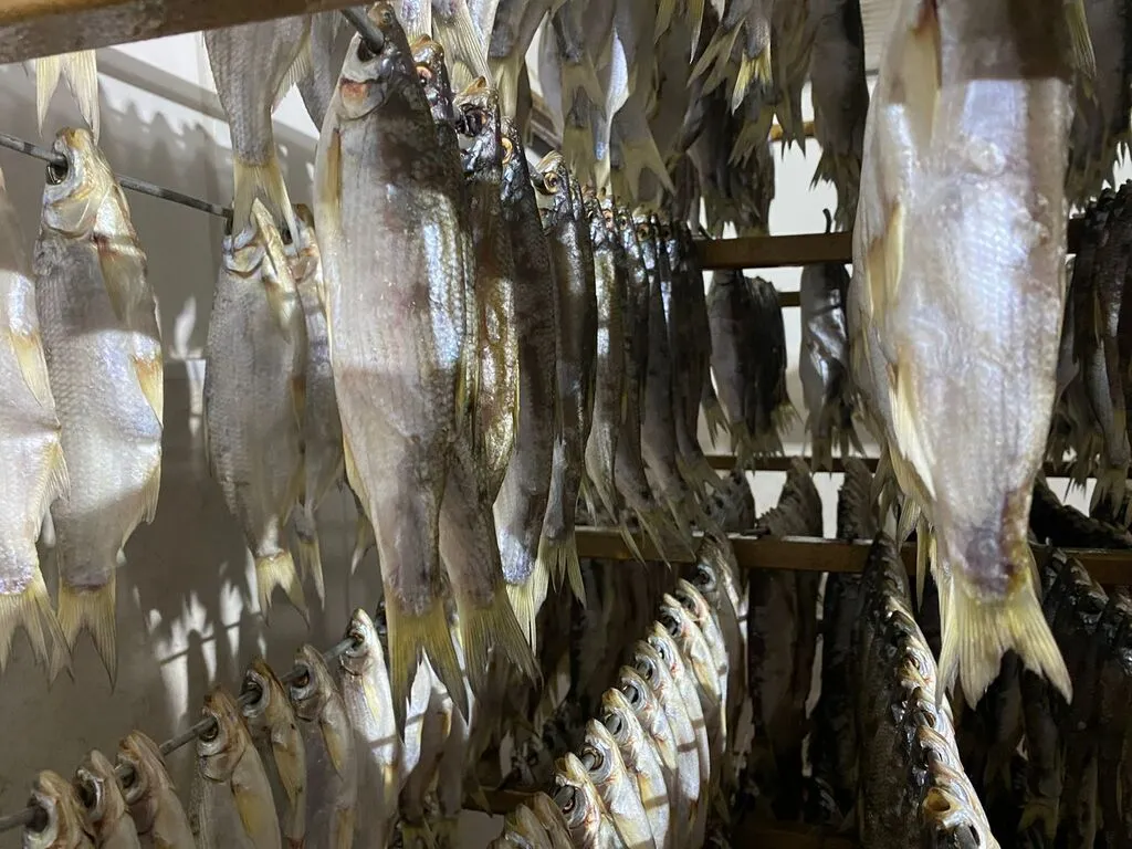 рыба вяленая и копченая от производителя в Ростове-на-Дону и Ростовской области 6
