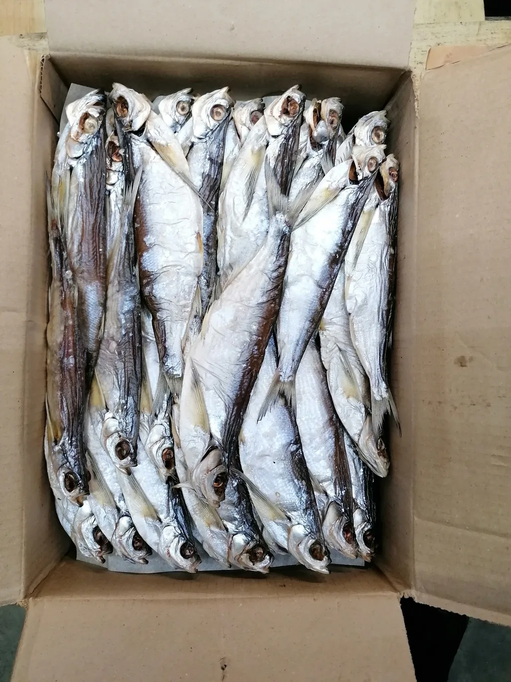 вяленая и копченая рыба от Производителя в Волгодонске 4