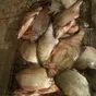 продаём рыбу Карась,Лещ,Сазан,Судак в Ростове-на-Дону и Ростовской области