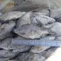 зимняя рыба на вялку оптом в Ростове-на-Дону 3
