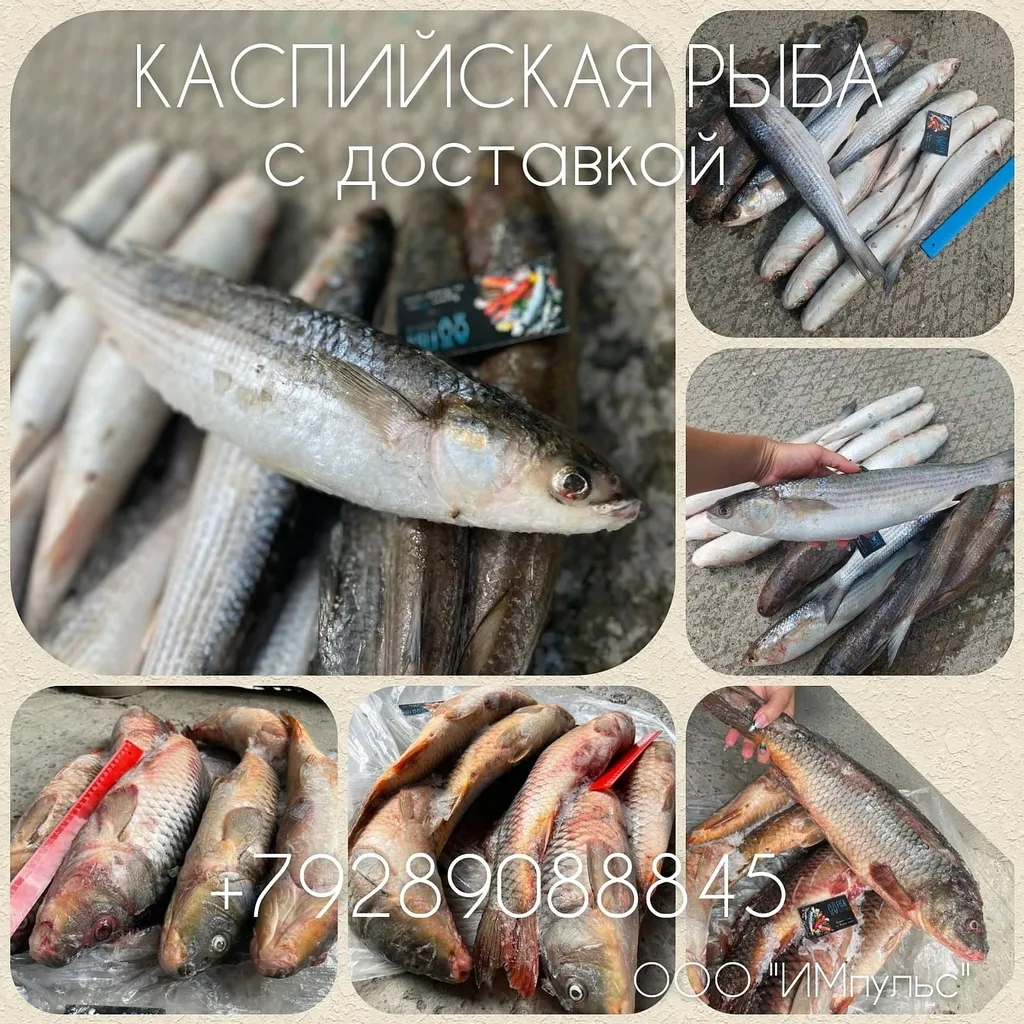 каспийская рыбка скоро в наличии в Ростове-на-Дону