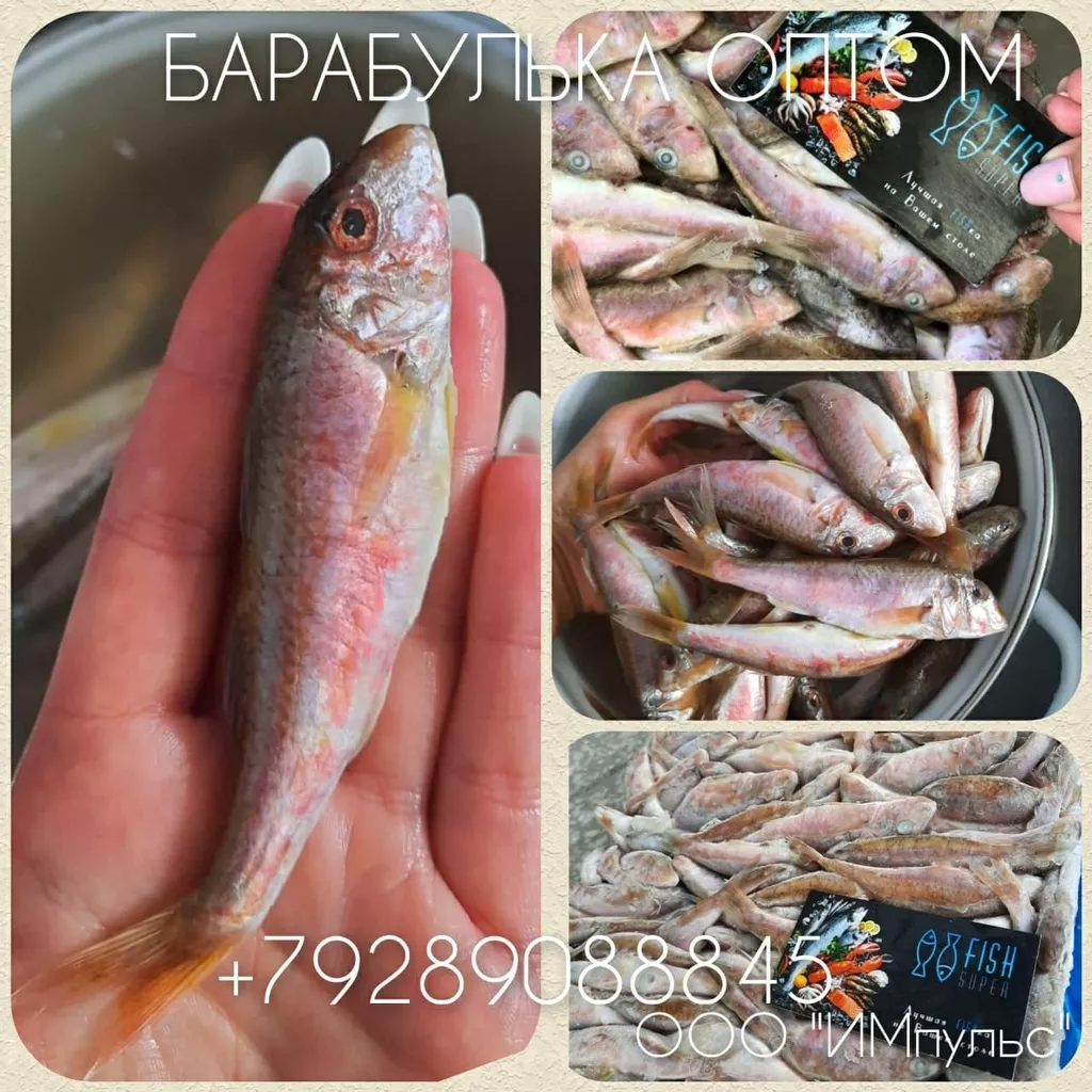 рыба на вялку оптом для переработчиков в Ростове-на-Дону 3