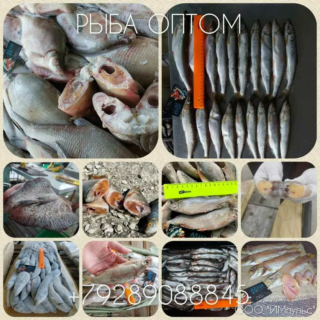 вялочная рыба для цехов в МСК и РНД  в Ростове-на-Дону и Ростовской области